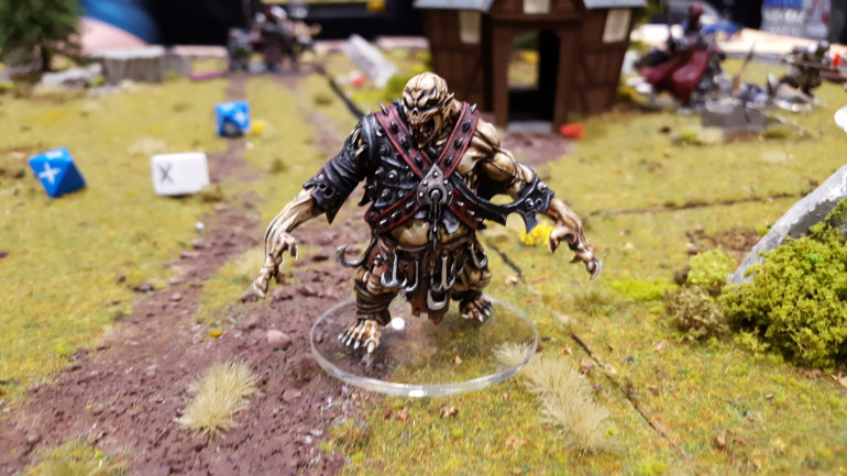 Painted Fabled Realms Miniatures