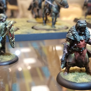 Stunning Studio Painted Minis For A Song of Ice & Fire