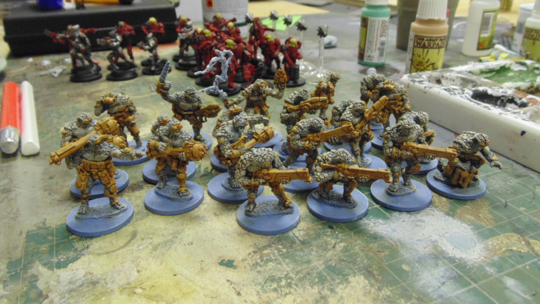 Boromites almost ready to take the field