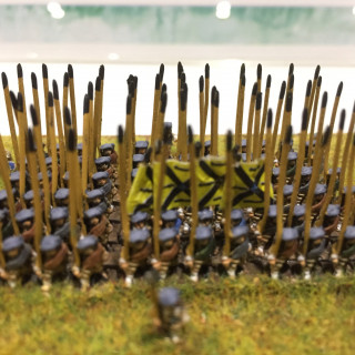 Going 6mm With Baccus And Their Historical Ranges