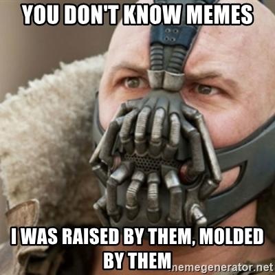 you-dont-know-memes-i-was-raised-by-them-molded-by-them