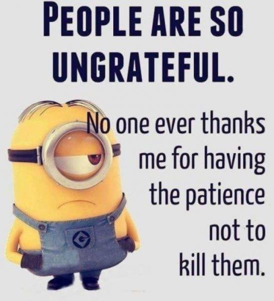 Funny-Minion-Pictures-16