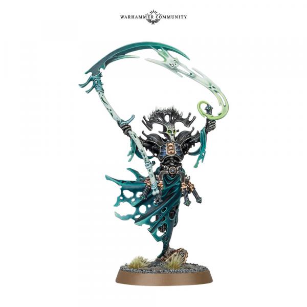 Nova-Aug29-AoS-Models55ytg