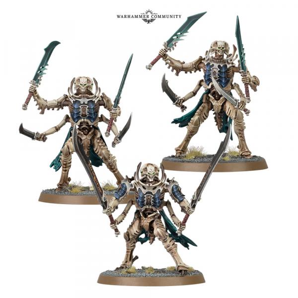 Nova-Aug29-AoS-Models4rgfd