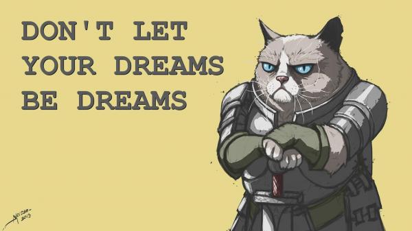 inspirational-grumpy-cat-knight