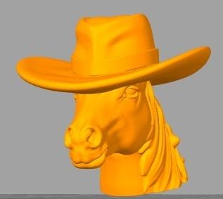 H28n_head_horse_EDF_Stetson_m