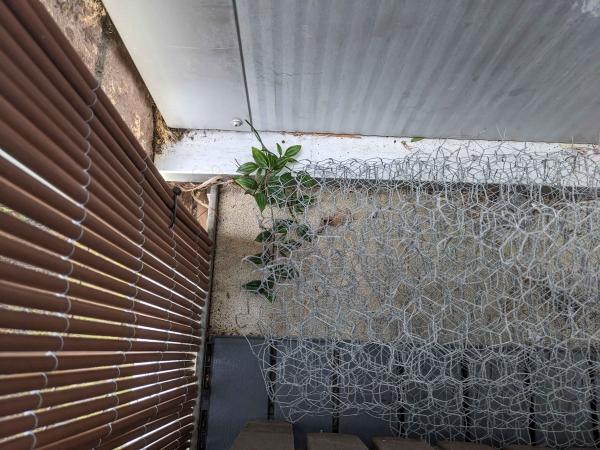 PXL_20260208_092742833