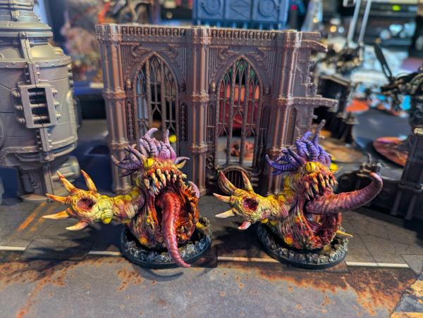 PXL_20251021_111021420-min