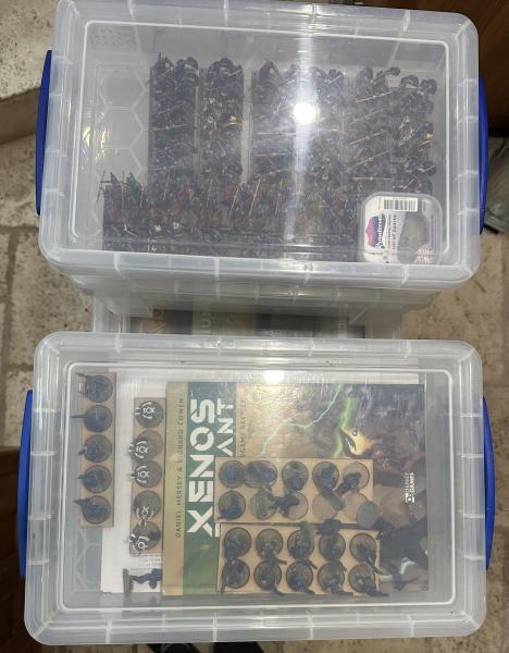 20260125_093004894_iOS