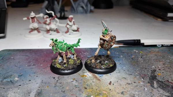 553121699_3054522511393346_5304240499494366659_n